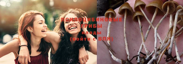 Альфа ПВП Алексеевка