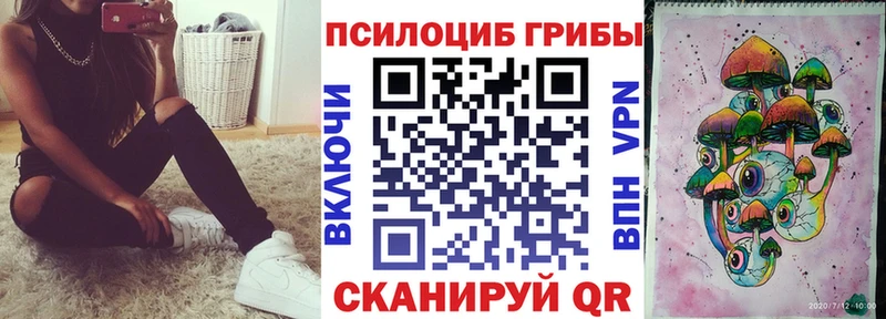 Галлюциногенные грибы Cubensis  купить закладку  Порхов 